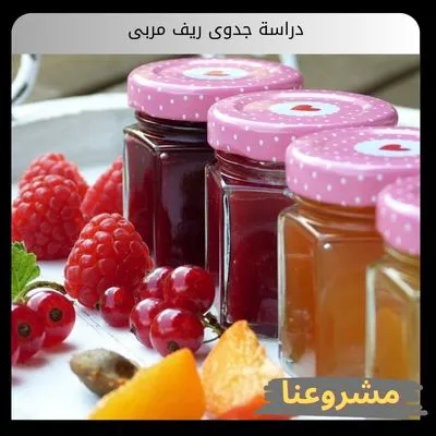 دراسة جدوى ريف مربى