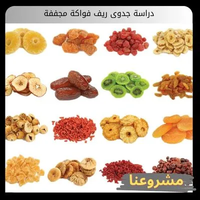 دراسة جدوى ريف فواكة مجففة