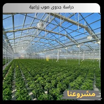 دراسة جدوى صوب زراعية
