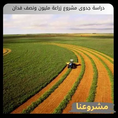 دراسة جدوى مشروع زراعة مليون ونصف فدان