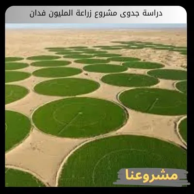 دراسة جدوى مشروع زراعة المليون فدان
