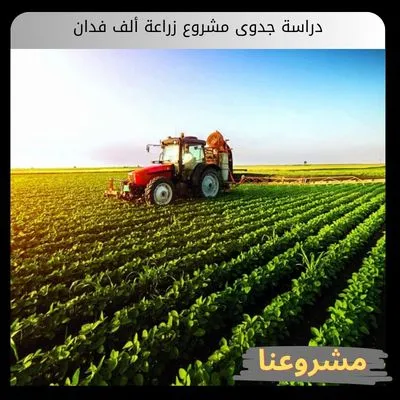 دراسة جدوى مشروع زراعة ألف فدان