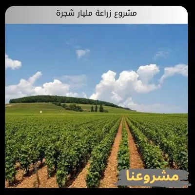 مشروع زراعة مليار شجرة