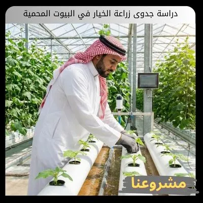 دراسة جدوى زراعة الخيار في البيوت المحمية دراسة جدوى زراعة الخيار في البيوت المحمية