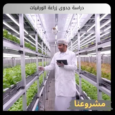 دراسة جدوى زراعة الورقيات