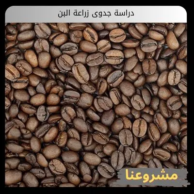 دراسة جدوى زراعة البن