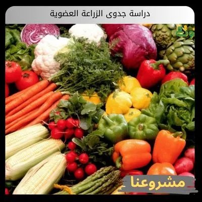 دراسة جدوى الزراعة العضوية