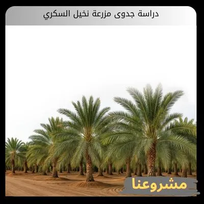 دراسة جدوى مزرعة نخيل السكري