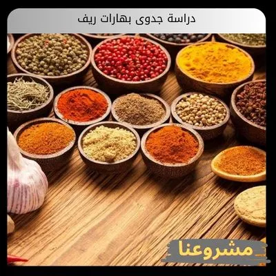 دراسة جدوى بهارات ريف