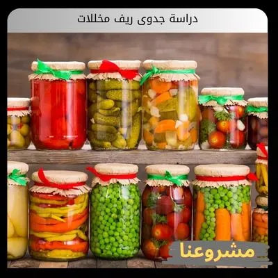 دراسة جدوى ريف مخللات