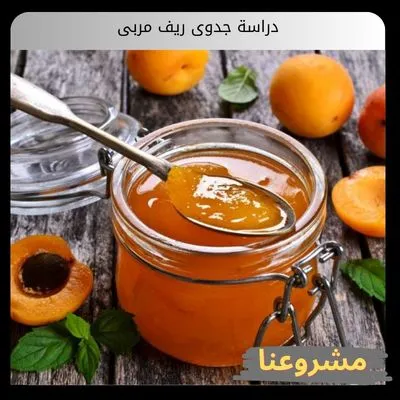 دراسة جدوى ريف مربى