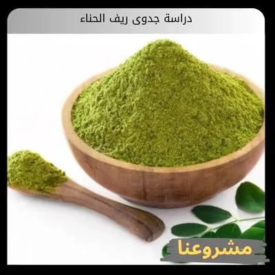 دراسة جدوى ريف الحناء