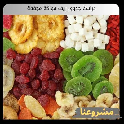 دراسة جدوى ريف فواكة مجففة