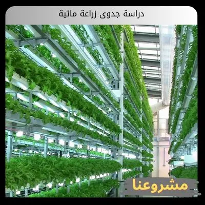 دراسة جدوى زراعة مائية