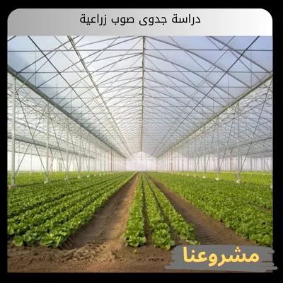 دراسة جدوى صوب زراعية