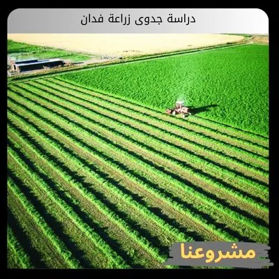 دراسة جدوى زراعة فدان