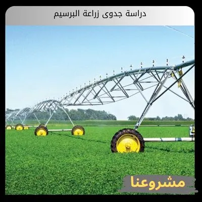 دراسة جدوى زراعة البرسيم في السعودية: دليل الاستثمار الشامل لتحقيق عوائد مستدامة دراسة جدوى زراعة البرسيم