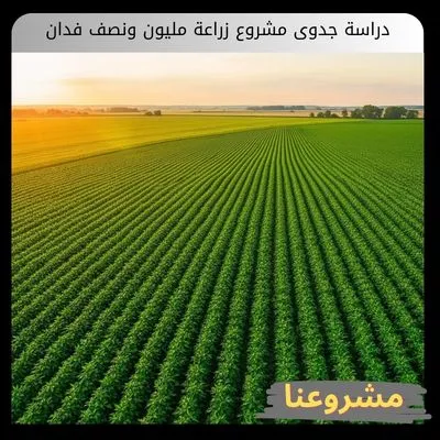 دراسة جدوى مشروع زراعة مليون ونصف فدان | وتحليل التكاليف وعوائدها الاقتصادية دراسة جدوى مشروع زراعة مليون ونصف فدان