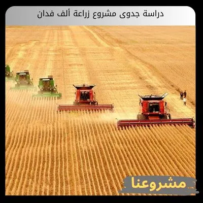 دراسة جدوى مشروع زراعة ألف فدان
