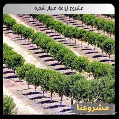 مشروع زراعة مليار شجرة