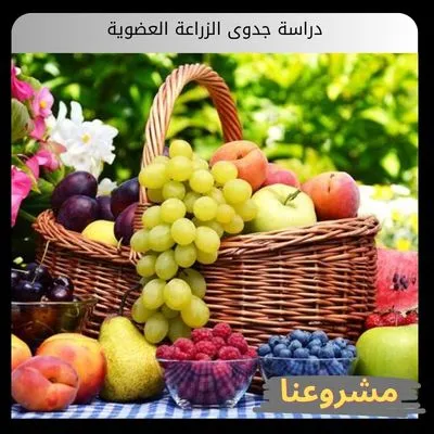 دراسة جدوى الزراعة العضوية