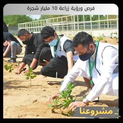 زراعة 10 مليار شجرة