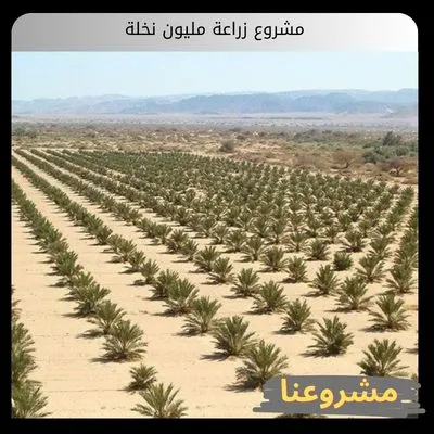 دراسة جدوى مصنع العناصر النادرة دراسة جدوى مصنع العناصر النادرة
