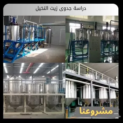 دراسة جدوى زيت النخيل