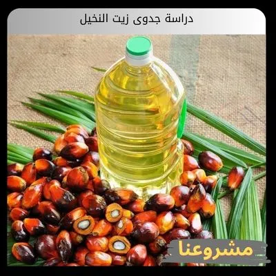 دراسة جدوى زيت النخيل