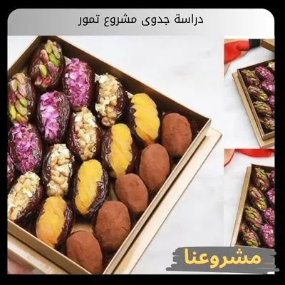 دراسة جدوى مشروع تمور