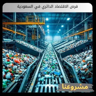 فرص الاقتصاد الدائري في السعودية