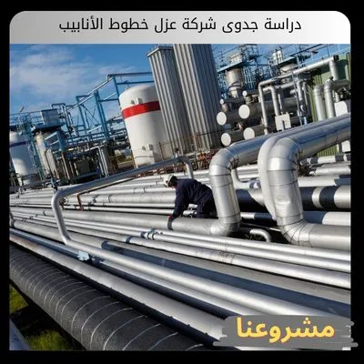 دراسة جدوى شركة عزل خطوط الأنابيب: دليل الاستثمار في حماية شبكات الطاقة دراسة جدوى شركة عزل خطوط الأنابيب
