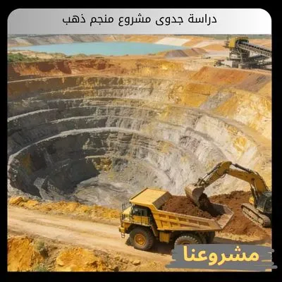دراسة جدوى مشروع منجم ذهب