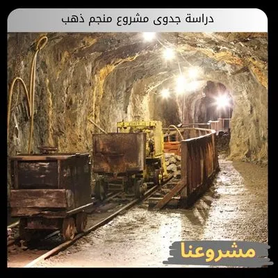 دراسة جدوى مشروع منجم ذهب دراسة جدوى مشروع منجم ذهب
